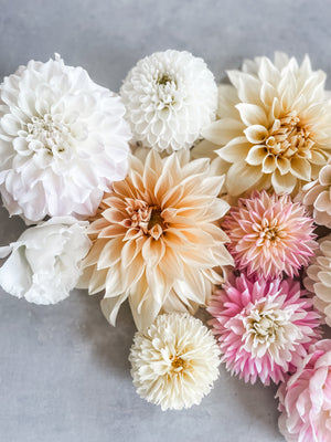 Farm Share Combo - Tulips, Peonies and Dahlias